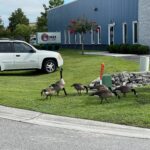 hvac maintenance wilmington nc